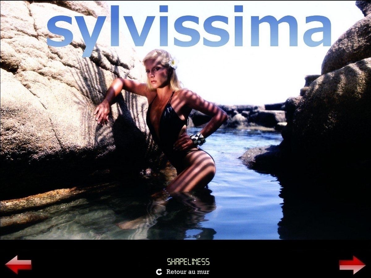 Sylvie Vartan Galerie Fan Art Sylvissima, Shapeliness